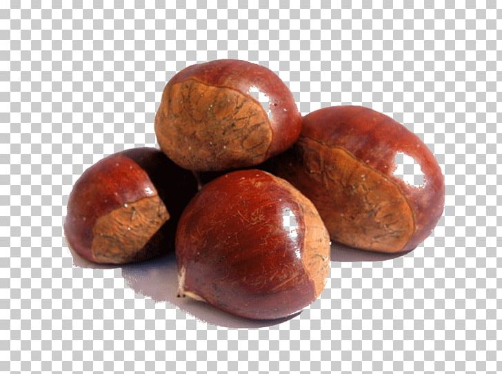 Extract Nut Dried Fruit Boletus Edible Mushroom PNG, Clipart, Almond, Apricot, Boletus, Cashew, Chestnut Free PNG Download