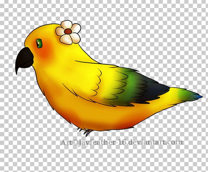 Lovebird Parakeet Feather Beak Pet PNG, Clipart, Beak, Bird, Chibi, Commission, Common Pet Parakeet Free PNG Download