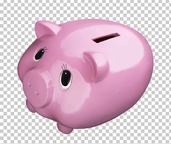 Piggy Bank Domestic Pig Pink PNG, Clipart, Bank, Banking, Designer, Domestic Pig, Gift Free PNG Download