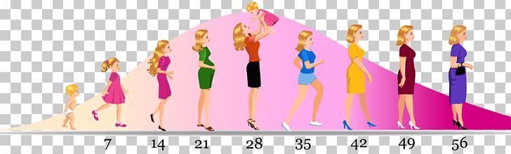 Woman Life Menopause Evolution Biology PNG, Clipart, Aging, Alfred Russel Wallace, Biology, Brand, Cystocele Free PNG Download