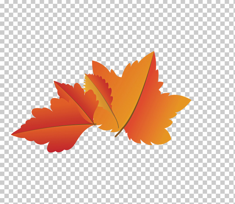 Maple Leaf PNG, Clipart, Autumn Leaf, Biology, Cartoon Leaf, Computer, Fall Leaf Free PNG Download