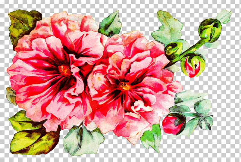 Floral Design PNG, Clipart, Carnation, Floral Design, Flower, Peony, Petal Free PNG Download