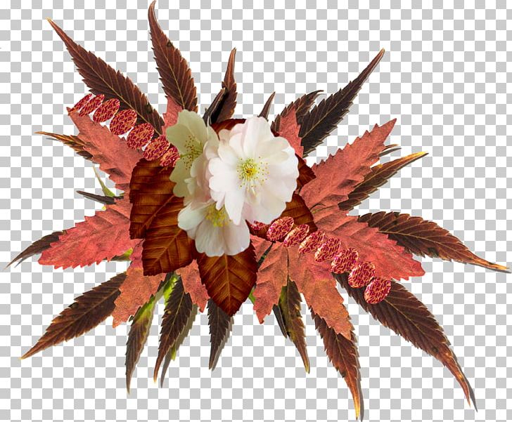 Flower Autumn PNG, Clipart, Animation, Autumn, Download, Drawing, Flower Free PNG Download