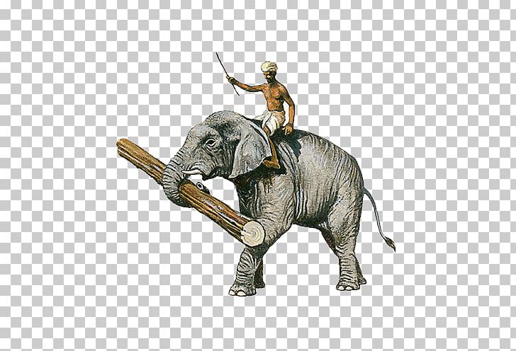 Indian Elephant African Elephant Illustration PNG, Clipart, Asian Elephant, Cultivation, Drawing, Elephant, Elephants And Mammoths Free PNG Download