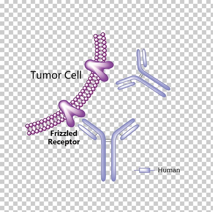 Obinutuzumab Trastuzumab Emtansine Vemurafenib Pharmaceutical Drug Monoclonal Antibody PNG, Clipart, Angle, Antibody, Bevacizumab, Cancer, Cancer Cell Free PNG Download