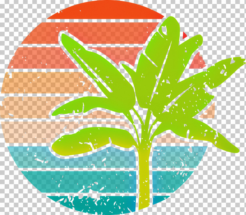 Summer Palm PNG, Clipart, Areca Palm Green, Branch, Bud, Leaf, Palmleaf Manuscript Free PNG Download