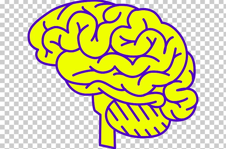 Brain Visual Perception Sense Optical Illusion Neuroscience PNG, Clipart, Area, Behavior, Brain, Drawing, Flower Free PNG Download