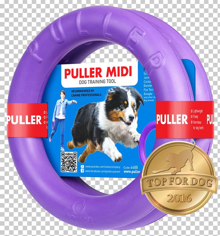 Dog Toys MIDI Puppy Cocker Spaniel PNG, Clipart, Amazoncom, Animals, Border Collie, Breed, Cocker Spaniel Free PNG Download