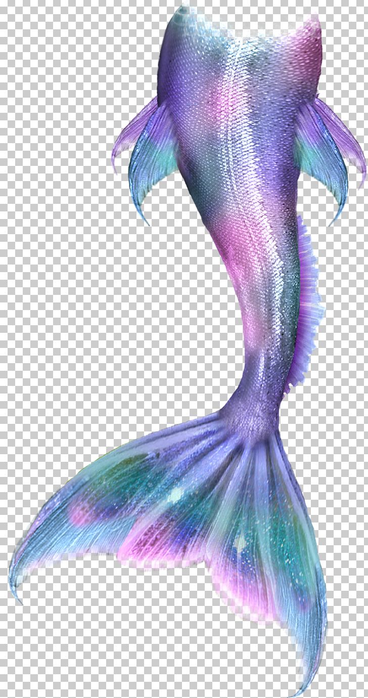 Mermaid Merliah Summers Merman PNG, Clipart, Ariel, Color, Drawing, Fairy Tail, Fantasy Free PNG Download