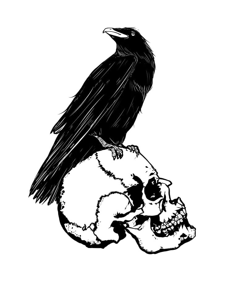 Raven Drawing Bird Anime Monochrome PNG, Clipart, Animals, Anime, Beak, Bird, Bird Of Prey Free PNG Download
