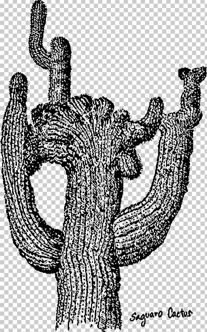 Saguaro National Park Cactaceae PNG, Clipart, Black And White, Cactaceae, Cactus Illustration, Desktop Wallpaper, Download Free PNG Download