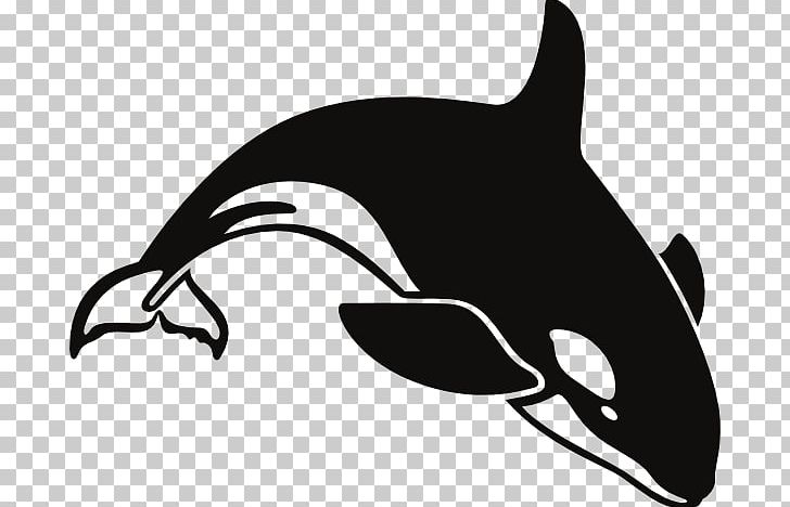 Killer Whale Humpback Whale PNG, Clipart, Beak, Beluga Whale, Black, Black And White, Cartoon Whale Png Free PNG Download
