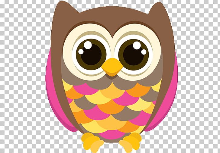Owl Bird Beak PNG, Clipart, Animal, Barn Owl, Beak, Bird, Bird Of Prey Free PNG Download