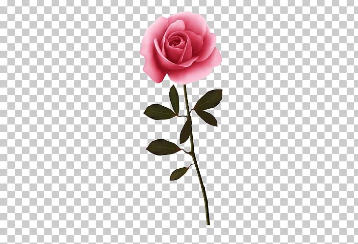 Garden Roses Flower PNG, Clipart, Banner, Bouquet Of Roses, Computer Wallpaper, Cut Flowers, Encapsulated Postscript Free PNG Download