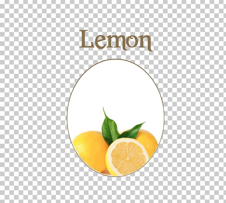 Lemon-lime Drink Orange Drink Lemonade Orange Juice PNG, Clipart,  Free PNG Download