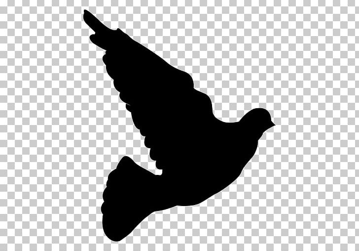 Flight Silhouette Vexel Bird PNG, Clipart, Animals, Beak, Bird, Black, Black And White Free PNG Download