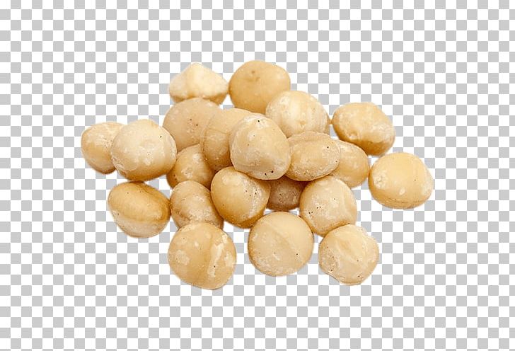 Organic Food Macadamia Brazil Nut Hazelnut PNG, Clipart, Almond, Baking, Brazil Nut, Cashew, Commodity Free PNG Download