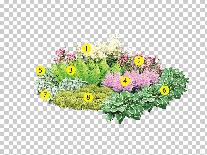 Bedding Flowerpot Garden Lawn Floral Design PNG, Clipart, Annual Plant, Aureola, Bedding, Bratislava, Chrysanthemum Free PNG Download