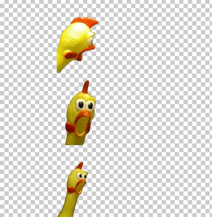 Chicken Internet Meme Drama PNG, Clipart, 9gag, Beak, Bird, Chicken, Computer Wallpaper Free PNG Download