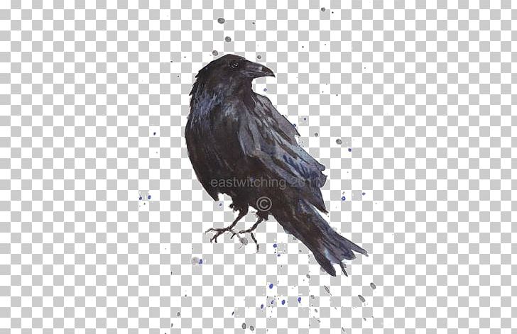 Common Raven Bird Art Printmaking PNG, Clipart, American Crow, Animals, Art, Beak, Bird Free PNG Download