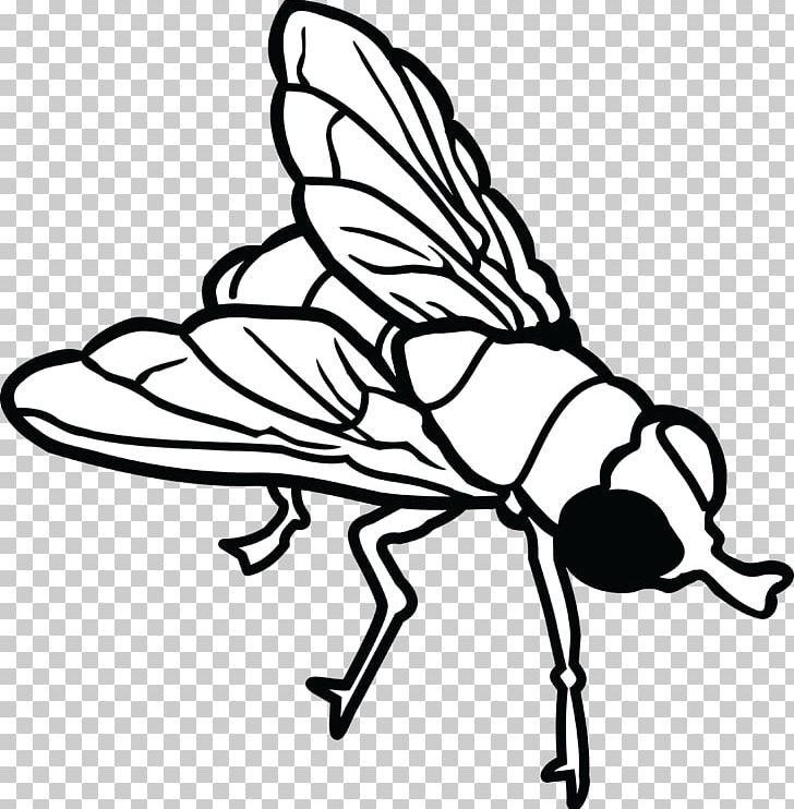 Insect Line Art PNG, Clipart, Animals, Artwork, Black And White, Butterfly, Clip Free PNG Download
