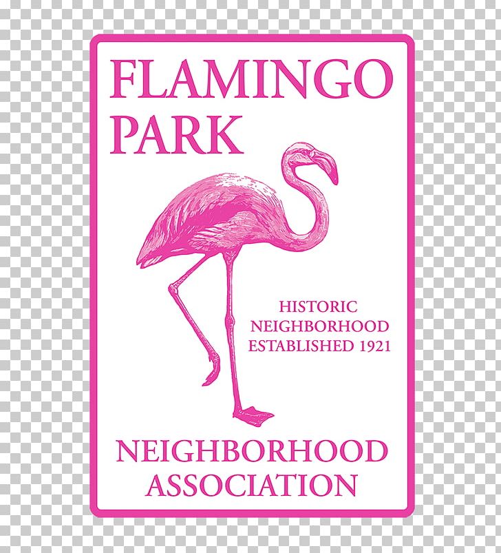 Il Fenicottero Beak Greater Flamingo Bird Animal PNG, Clipart, Amazoncom, Animal, Animals, Beak, Bird Free PNG Download