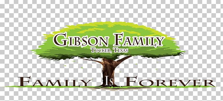 Logo Brand Tree Font PNG, Clipart, Advertising, Brand, Family Reunion, Grass, Logo Free PNG Download