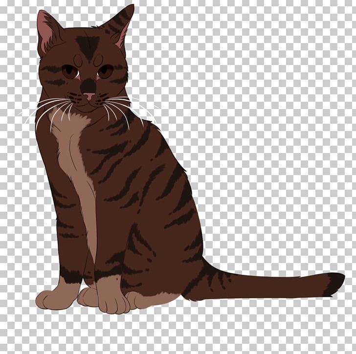American Wirehair Whiskers California Spangled Kitten Domestic Short-haired Cat PNG, Clipart, America, Animals, Asia, Asian, Asian People Free PNG Download