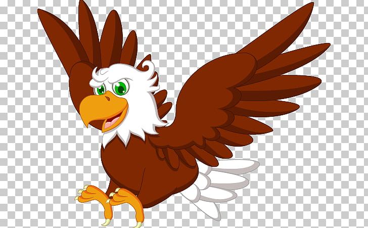 Bald Eagle Drawing PNG, Clipart, Animals, Art, Bird, Bird Of Prey, Cartoon  Free PNG Download