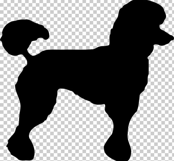 Toy Poodle Standard Poodle Miniature Poodle PNG, Clipart, American Kennel Club, Animal, Black, Black And White, Carnivoran Free PNG Download