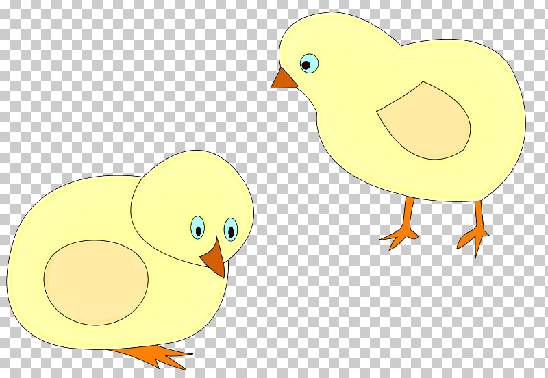 Landfowl Duck Beak Birds Water Bird PNG, Clipart, Beak, Biology, Birds, Cartoon, Duck Free PNG Download