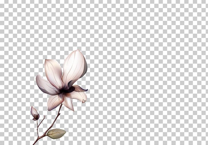 Flower Illustration Photograph PNG, Clipart, Blossom, Branch, Computer Wallpaper, Desktop Wallpaper, Floral Design Free PNG Download