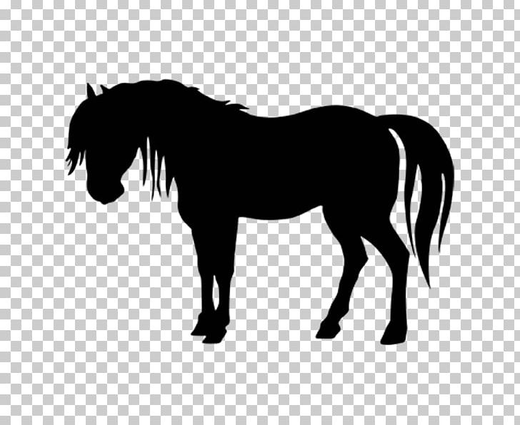 Friesian Horse Wedding Cake Topper Equestrian PNG, Clipart, Black, Black And White, Bridle, Cake, Coloriage Free PNG Download