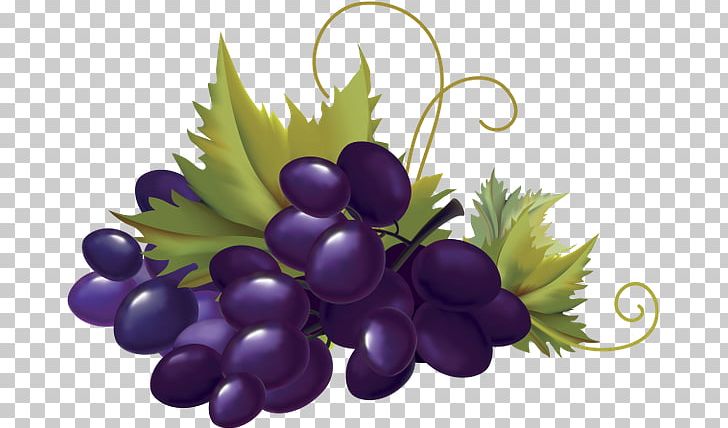 Grape Fruit Moroccan Cuisine PNG, Clipart, Animation, Download, Drawing, Food, Fruit Free PNG Download