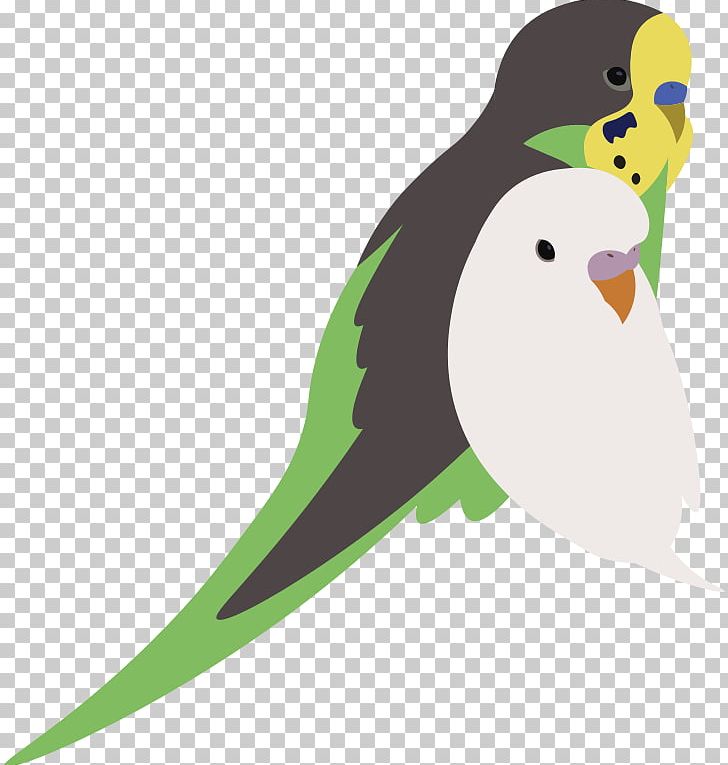 Parakeet Drawing Pet PNG, Clipart, Agario, Beak, Bird, Budgrigar, Common Pet Parakeet Free PNG Download