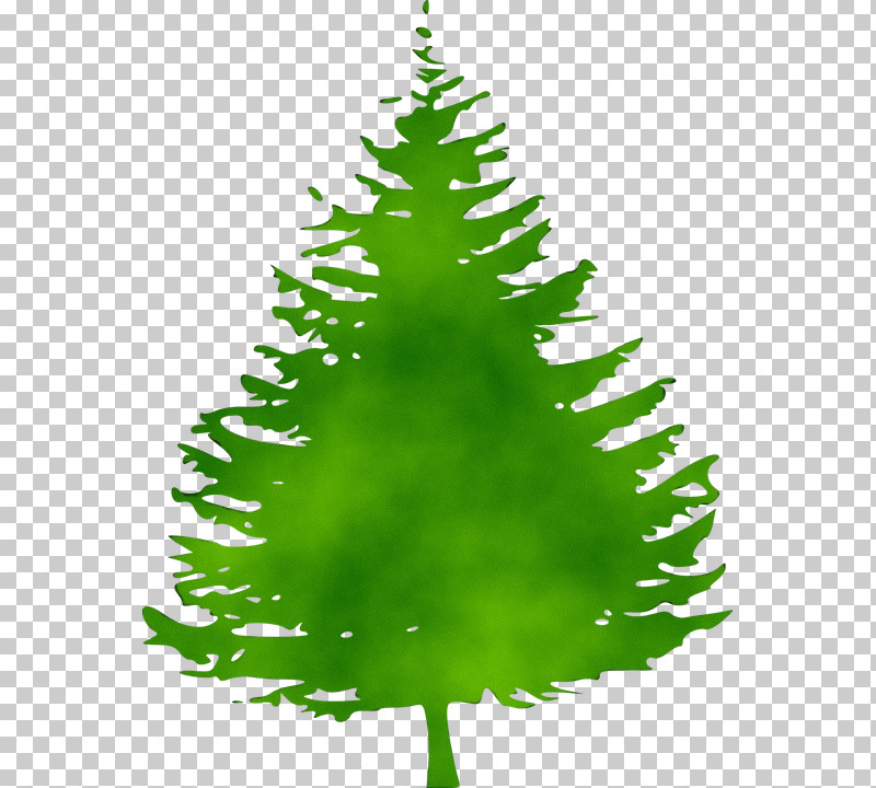 Pine Tree Fir Silhouette Conifers PNG, Clipart, American Larch, Balsam Fir, Cedar, Christmas Decoration, Christmas Tree Free PNG Download