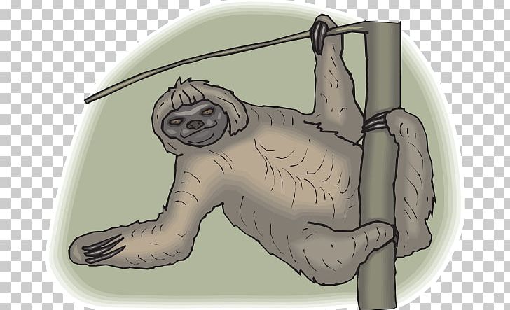 Three-toed Sloth PNG, Clipart, Animal, Art, Bear, Carnivoran, Cat Like Mammal Free PNG Download