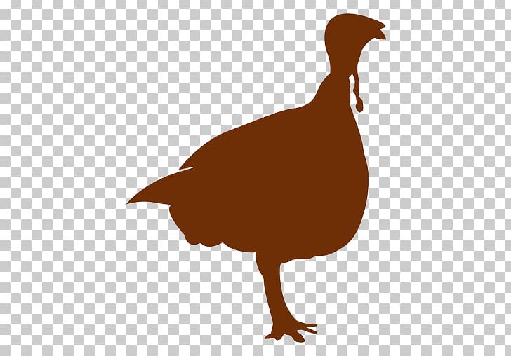 Turkey Duck Silhouette PNG, Clipart, Animals, Beak, Bird, Bird Clipart, Chicken Free PNG Download