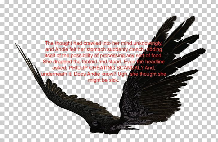 Bald Eagle Bird T-shirt Feather PNG, Clipart, Accipitriformes, Animals, Bald Eagle, Beak, Bird Free PNG Download