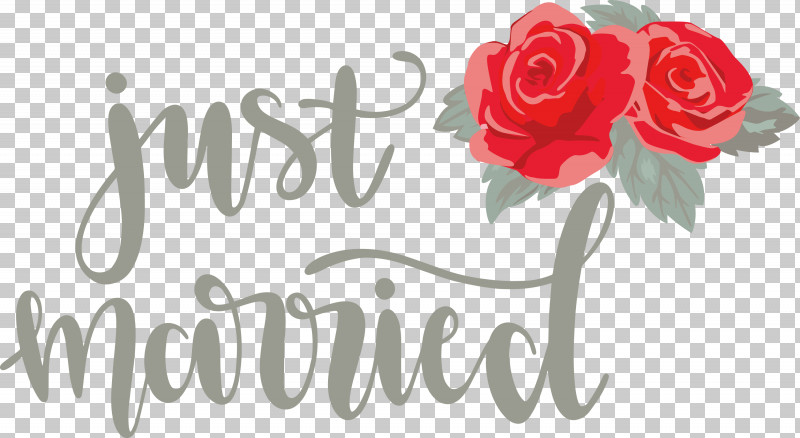 Just Married Wedding PNG, Clipart, Cut Flowers, Floral Design, Flower, Flower Bouquet, Garden Free PNG Download