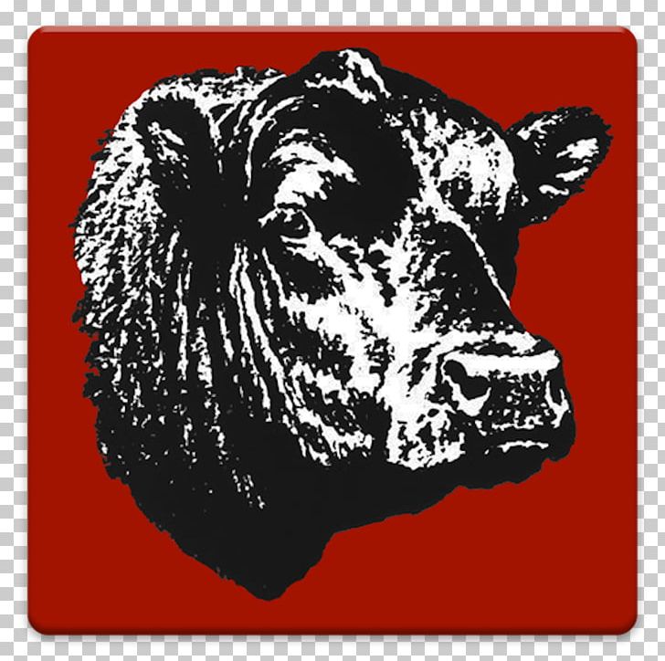 Angus Cattle Beef Cattle Bull Calf American Angus Association PNG, Clipart, American Angus Association, Angus, Angus Cattle, Animals, Apk Free PNG Download