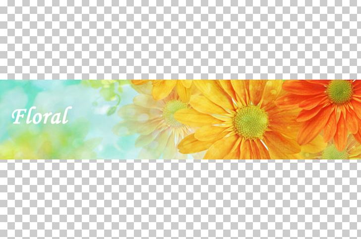 Desktop Flower Petal PNG, Clipart, 2018 Mercedesbenz Sclass Coupe, Computer, Computer Wallpaper, Desktop Wallpaper, Flower Free PNG Download