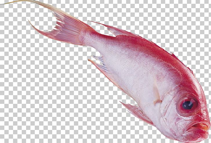 Fish Nemipterus Virgatus PhotoScape PNG, Clipart, Animal, Animals, Animal Source Foods, Cod, Computer Icons Free PNG Download