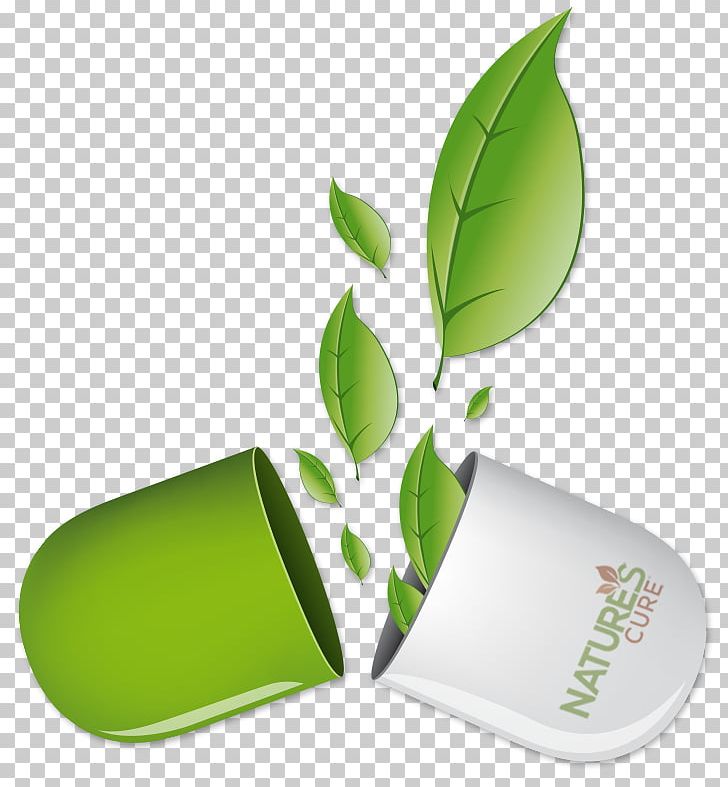 Herbalism Leaf PNG, Clipart,  Free PNG Download