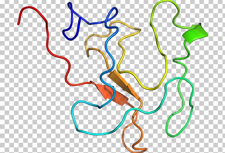 Line Point Organism PNG, Clipart, Aldolase B, Area, Art, Line, Organism Free PNG Download