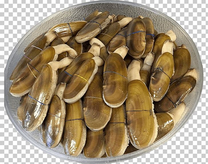 Pacific Razor Clam Mussel Giant Clam Shellfish PNG, Clipart, Animal Source Foods, Atlantic Surf Clam, Beach, Clam, Clams Oysters Mussels And Scallops Free PNG Download
