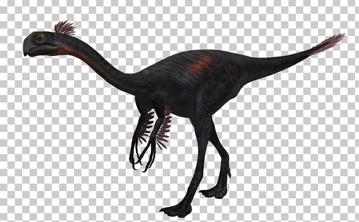 Gigantoraptor Citipati Oviraptorosauria Velociraptor Dinosaur PNG, Clipart, 3d Rendering, Animal, Animal Figure, Beak, Citipati Free PNG Download