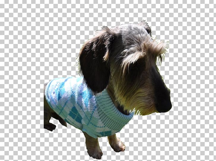 Petit Basset Griffon Vendéen Puppy Basset Hound Grand Basset Griffon Vendéen Briquet Griffon Vendéen PNG, Clipart, Animals, Basset Hound, Breed, Briquet Griffon Vendeen, Carnivoran Free PNG Download