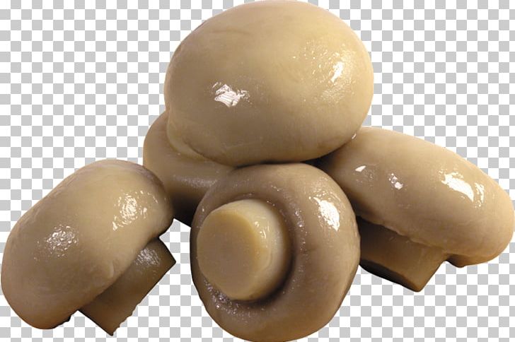 Common Mushroom Edible Mushroom Food PNG, Clipart, Agaricus, Calocybe Gambosa, Common Mushroom, Cooking, Desktop Wallpaper Free PNG Download