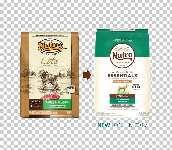 Dog Food Cat Food Puppy Nutro Products PNG, Clipart,  Free PNG Download